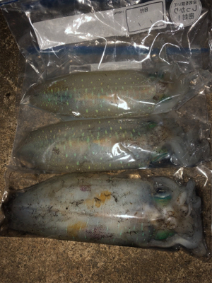 月がとっても丸いから〜