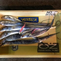 タチカッターにもめげずにFLAP