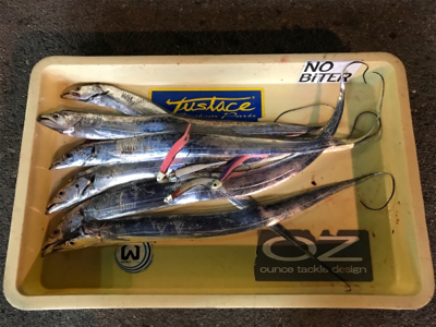 タチカッターにもめげずにFLAP