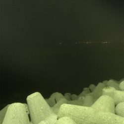 エギング断念からのいつもの場所で短時間