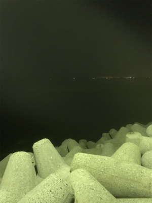 エギング断念からのいつもの場所で短時間