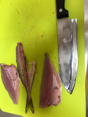 アジを求めて②