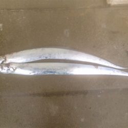 LSJigginger0658〜0735