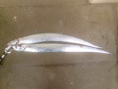 LSJigginger0658〜0735