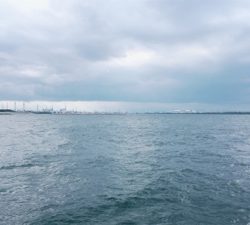 朝マズメのタチウオ