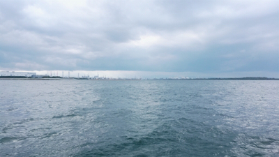 朝マズメのタチウオ