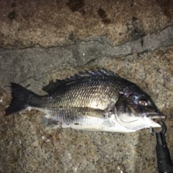 デカガシラ3連チャン！おまけ付き