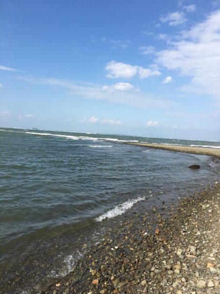 ハゼ釣りたのしー