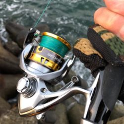 太刀魚…サイズがアップしないなぁ