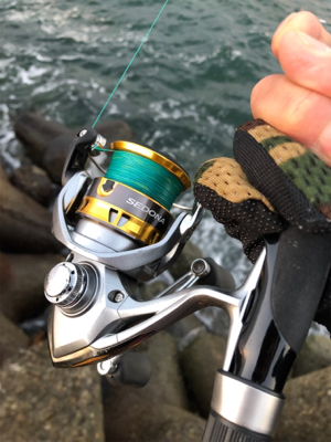 太刀魚…サイズがアップしないなぁ