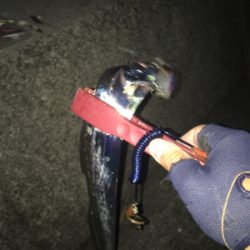 キリがない太刀乱舞！