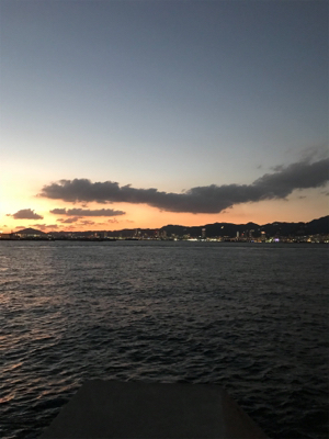 タチウオ、サビキ釣行