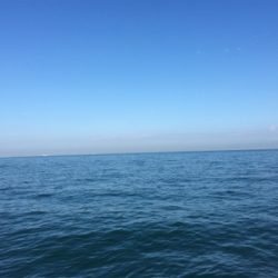 アタリはあるけど