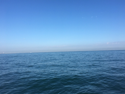 アタリはあるけど