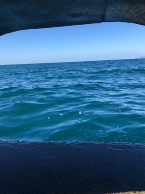 諦めムードからの本カツオ♪