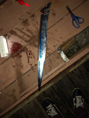 時合いは楽しい