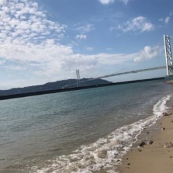 太刀魚オンリー