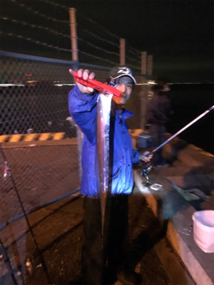 DAYノマセタチウオ