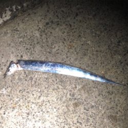 武庫一、タッチ〜勝負