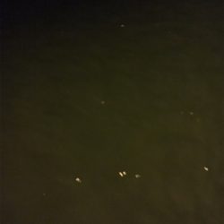 ナイトアジング