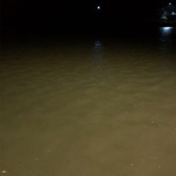 仕事終わりにライトゲーム