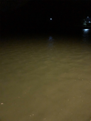 仕事終わりにライトゲーム