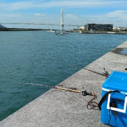 コブダイ釣り空振り