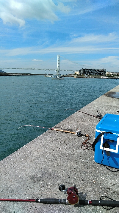 コブダイ釣り空振り