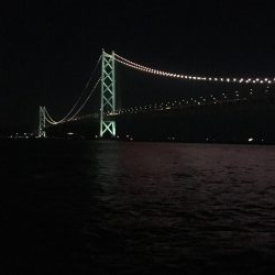 時期外れの剣先イカ