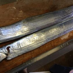 今日もタッチー釣れました。