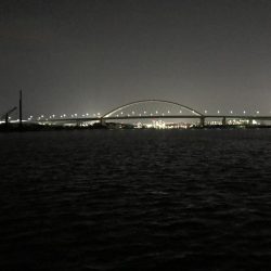 ワインドからのライトゲーム