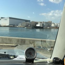 ノマセクラブメジロ祭り4