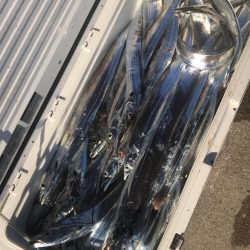 タチウオジギング