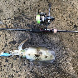 台風の前の静けさ