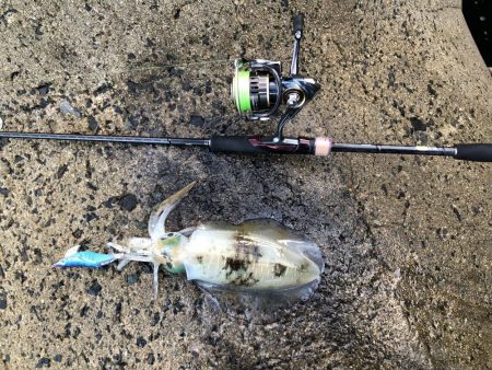 台風の前の静けさ