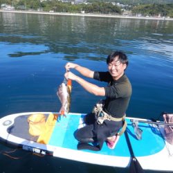 Supフィッシング