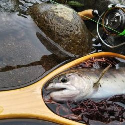 小川でミノーイング