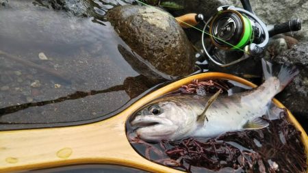 小川でミノーイング
