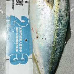 夕まずめブルー