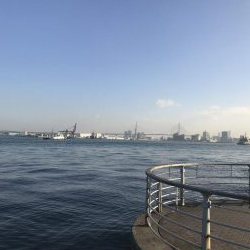 朝タチウオ(^_^)