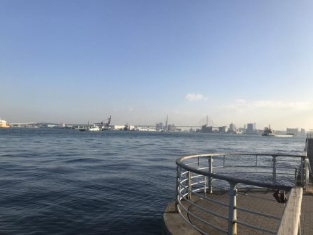 朝タチウオ(^_^)