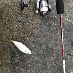 小豆島 家族旅行の合間に♪