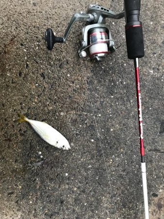 小豆島 家族旅行の合間に♪