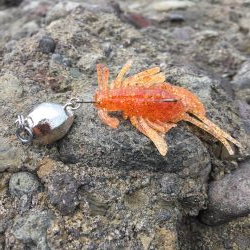 ショアジギング