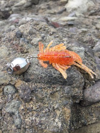 ショアジギング