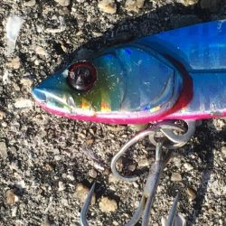 ハマチいまいち