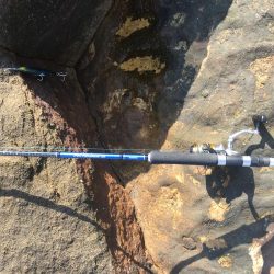 早く自分ぐらいのレベルに追いついてほしいものです