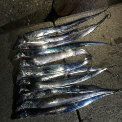 まずまずだぬぇ〜