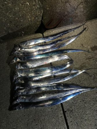 まずまずだぬぇ〜