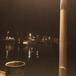 イカ３種＋渡蟹